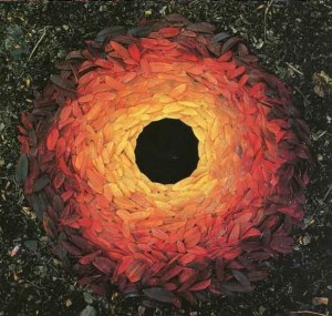 œuvre d'Andy Goldsworthy - Feuilles de sorbier disposées autour d’un trou